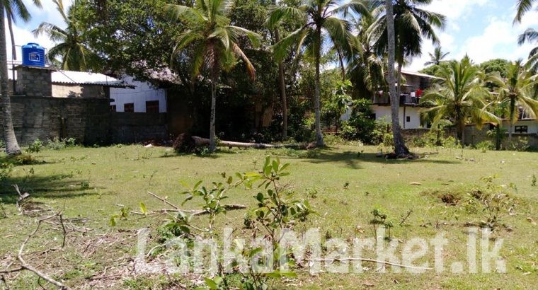 Urgent land sale at Hikkaduwa surrounded by paddy fields.