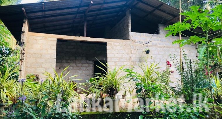 මුදල් හදිස්සියකට විකිණීමට