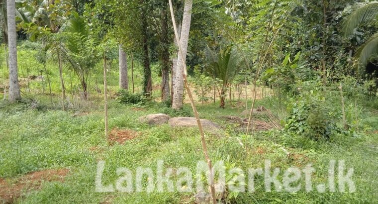 කෑගල්ල ගලිගමුවට ආසන්න අගනා වගා කිරීම සදහා සැකසූ ඉඩමක් විකිණීමට ඇත.