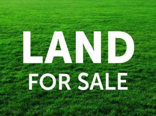 Valuable Land for Sale in Kurunegala
