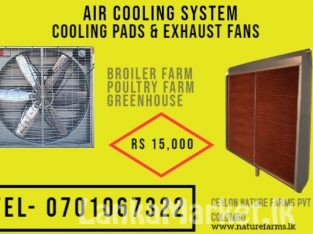 Evaporative cooling system pad & fan greenhouse poultry