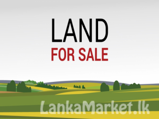 Residential Land for Sale in Ratnapura