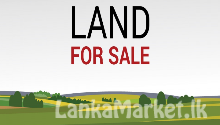 Residential Land for Sale in Ratnapura