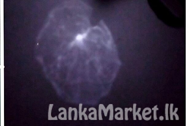 Old 1553 england plate