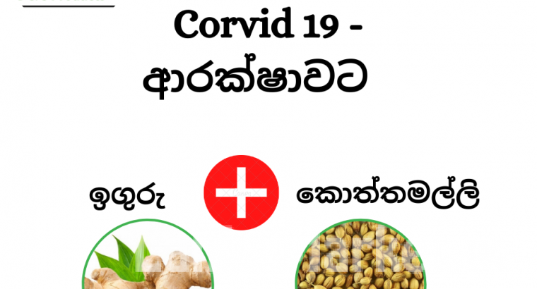 Ginger & Coriander Tea – ( ඉගුරු කොත්තමල්ලි තේ )