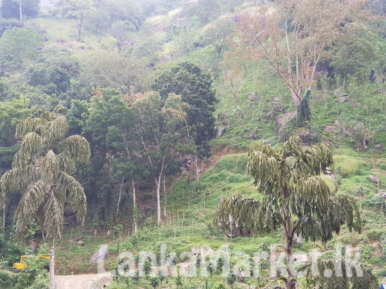 25 Acre land For Sale Close to Kandy
