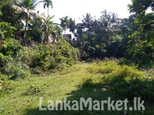 Land for sale in panadura