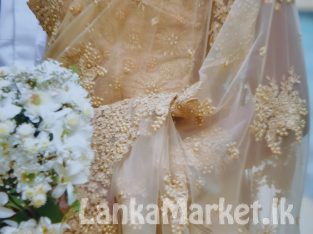 Bridal Saree dress used