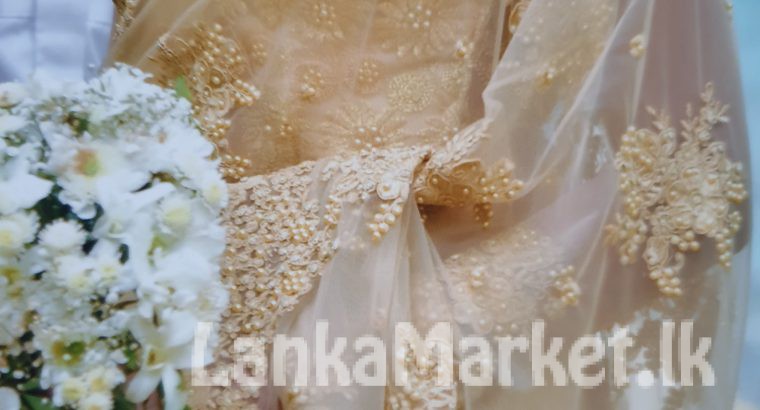 Bridal Saree dress used