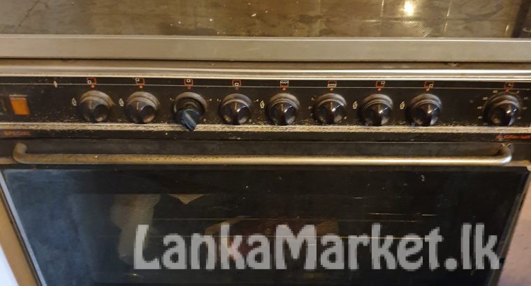 Electric and gas oven