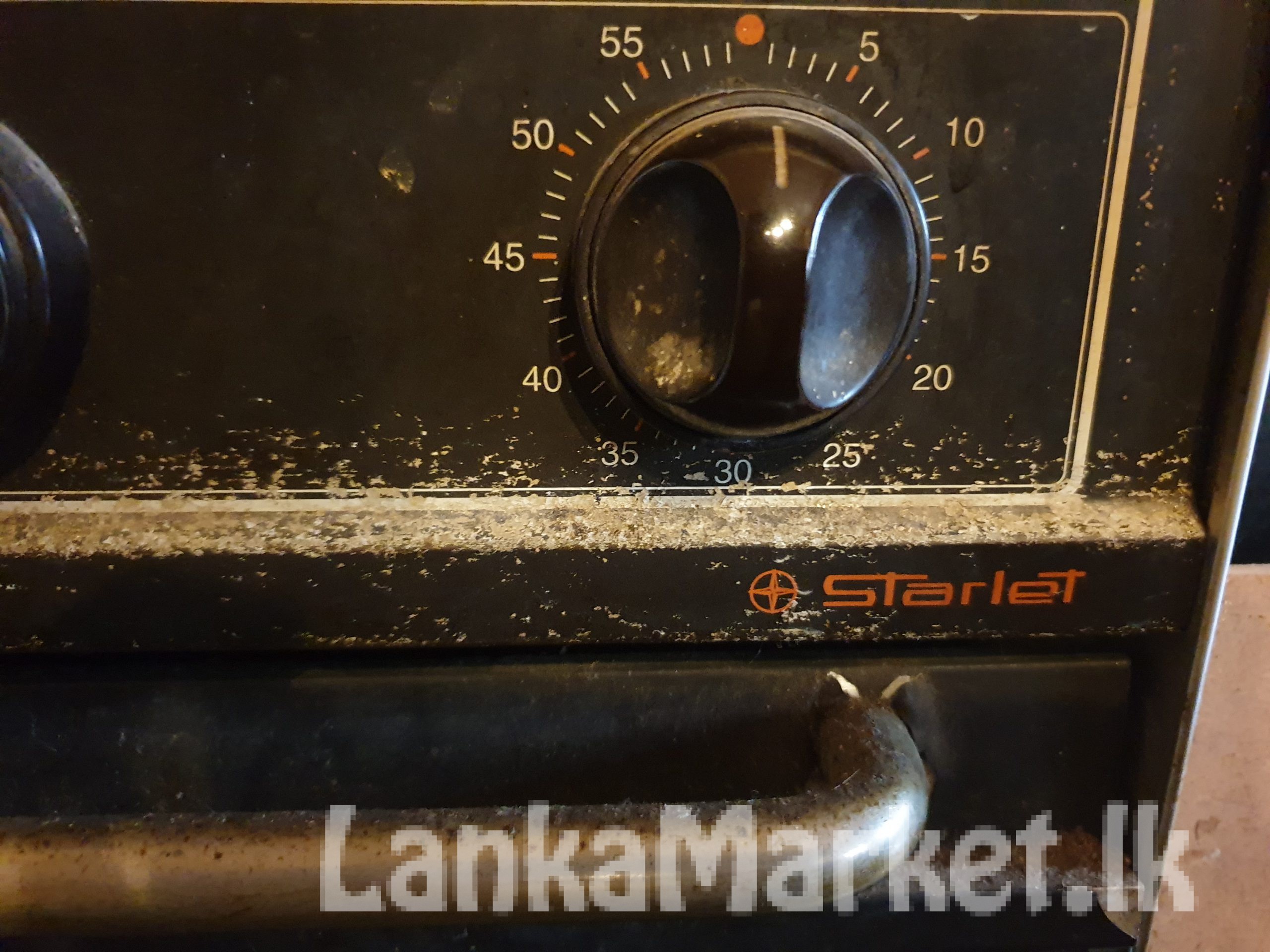 Electric and gas oven