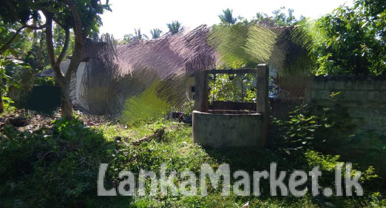 Land for sell Panadura