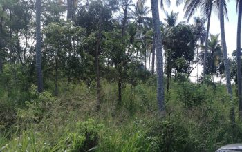 Land for sale kandy haragama