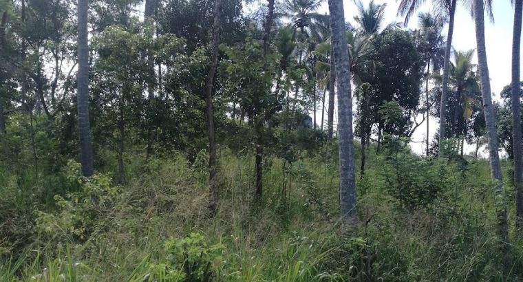 Land for sale kandy haragama