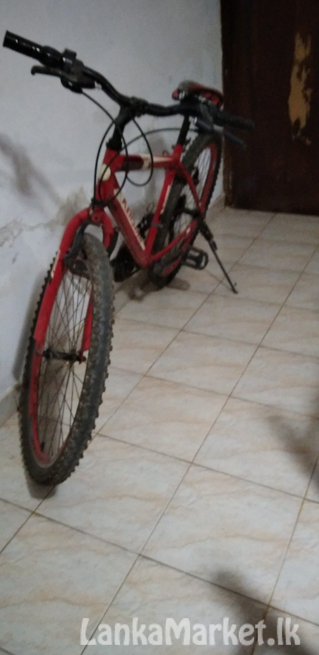 Bicycle Jaela