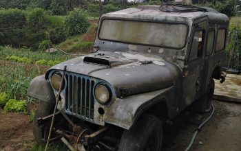 American willys jeep