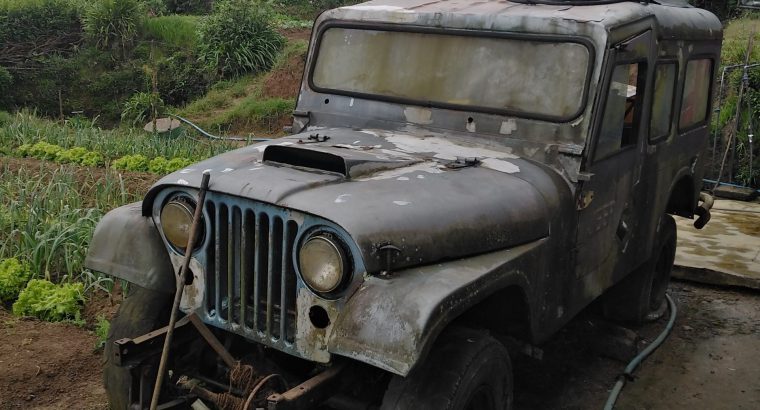 American willys jeep