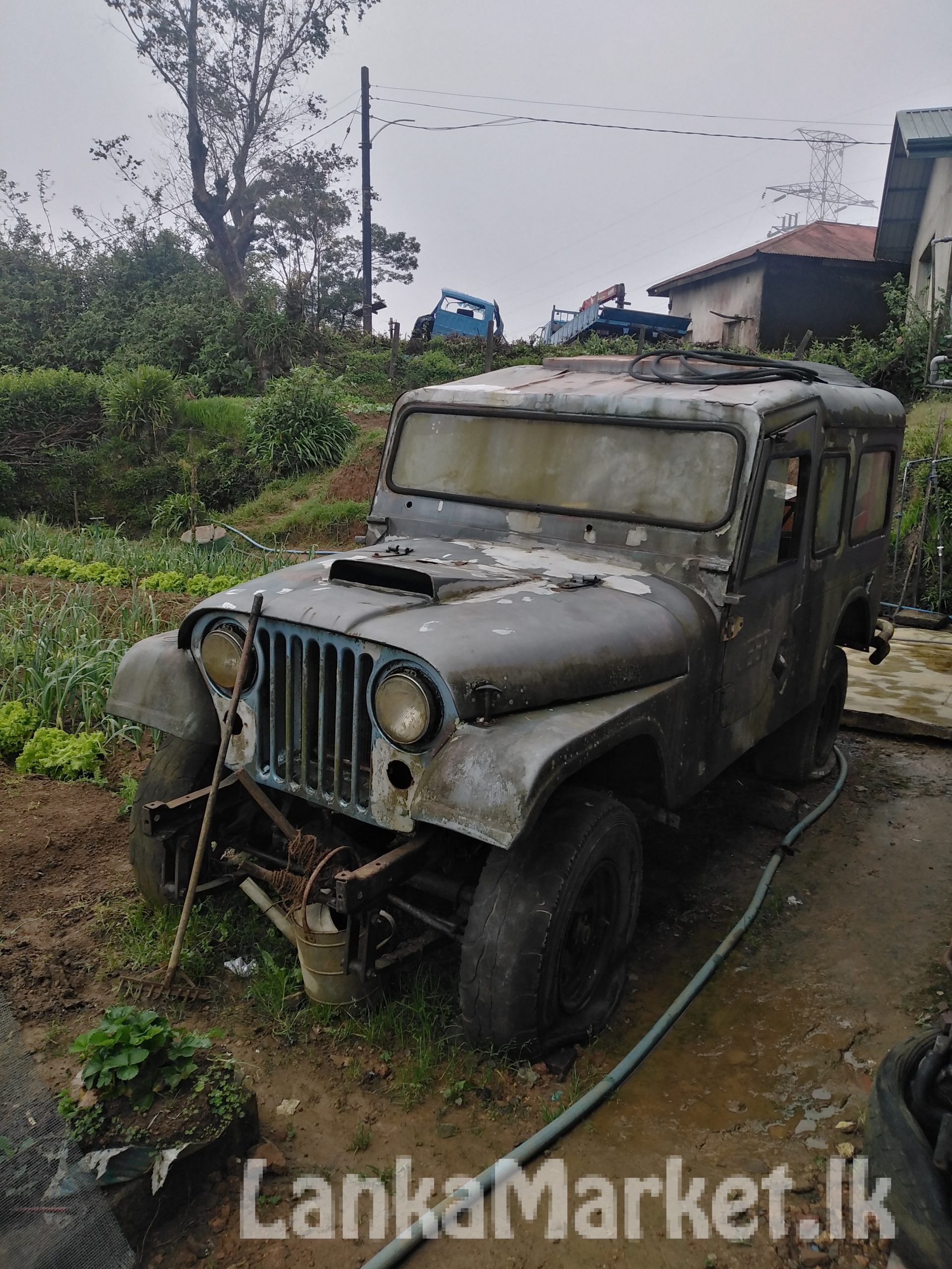 American willys jeep