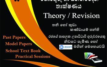 ICT Class G.C.E. Advanced Level – Theory/ Revision (Grade 12, 13)