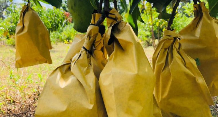 TJC අඹ ආවරණ