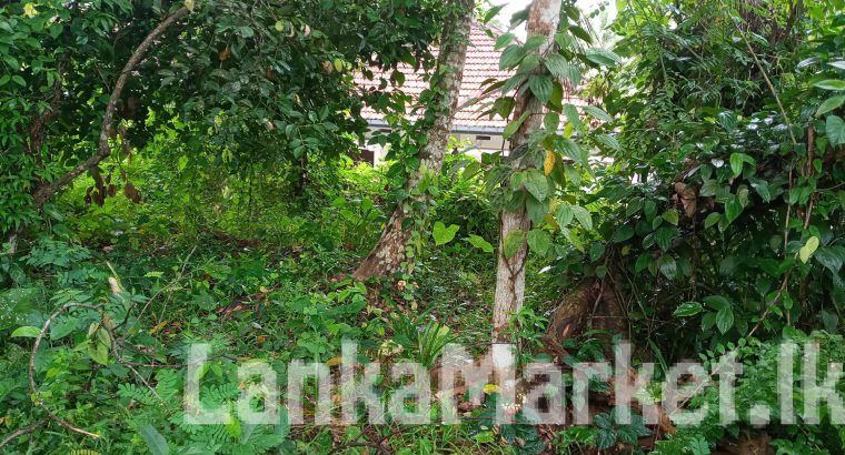 Land for sell akuressa