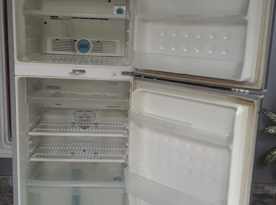 Sharp fridge