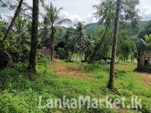 Land for Sale near Agalawatte Town (1hr 23 mins from Colombo)