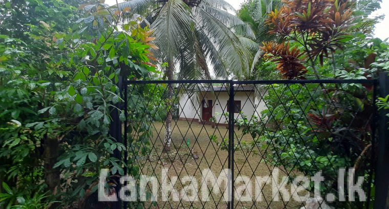 හෝමාගම, හබරක්ඩ ප්‍රදේශයෙන් නිවසක් විකිණීමට ඇත.