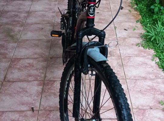 Tomahawk Mountain Bicycle For Sale