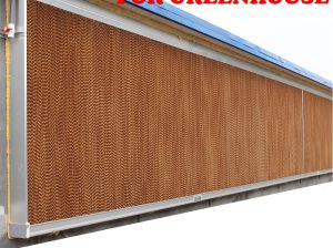 Greenhouse Poultry farms air cooling systems srilanka , green house cooling pads systems srilanka