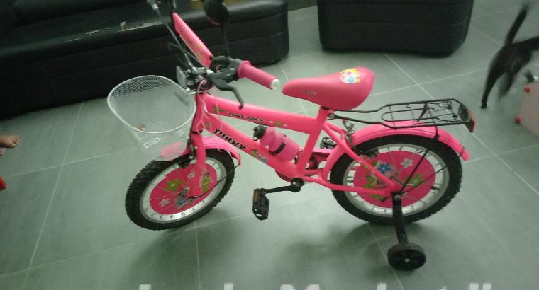 Used kids’ bicycle