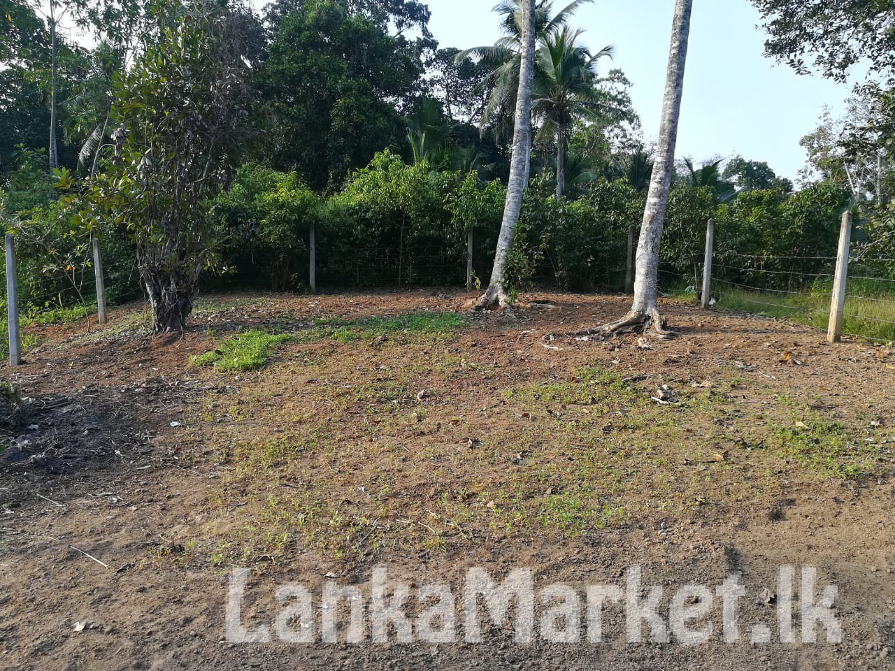 Land for sale in Hikkaduwa