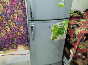 Singer GEO refrigerator