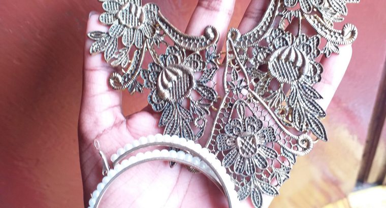 Wedding Guest Saree With Accessories