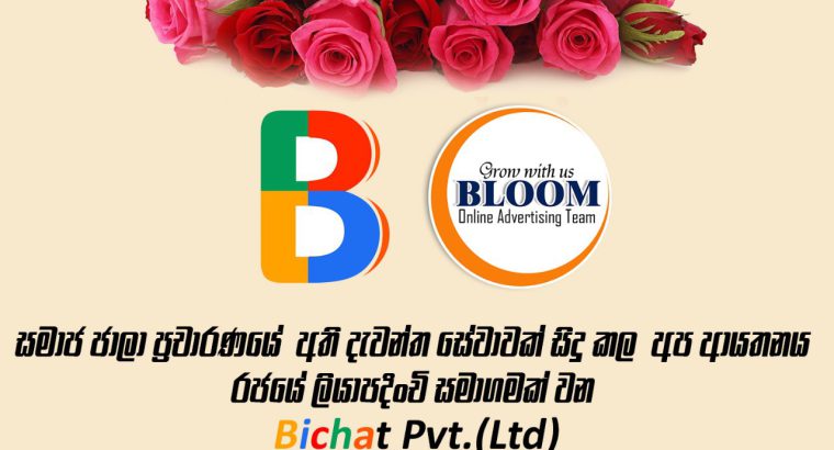 Bloom ads social media advertiesments