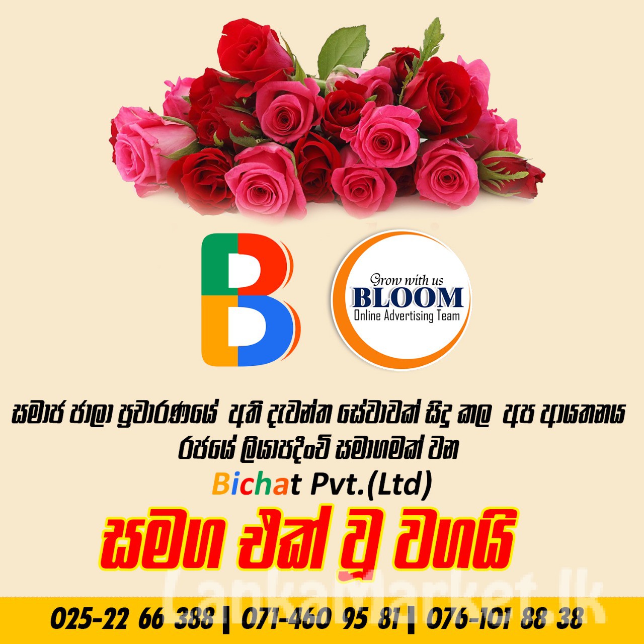 Bloom ads social media advertiesments