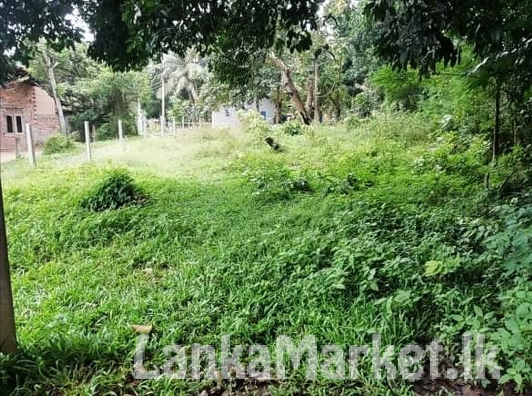 Land for sale – Uhumiya