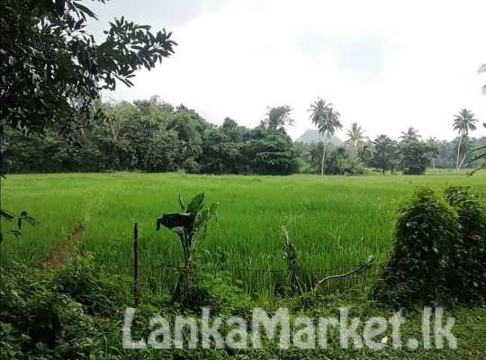 Land for sale – Uhumiya