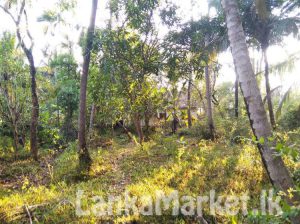 Land for Sale in Kurunagala