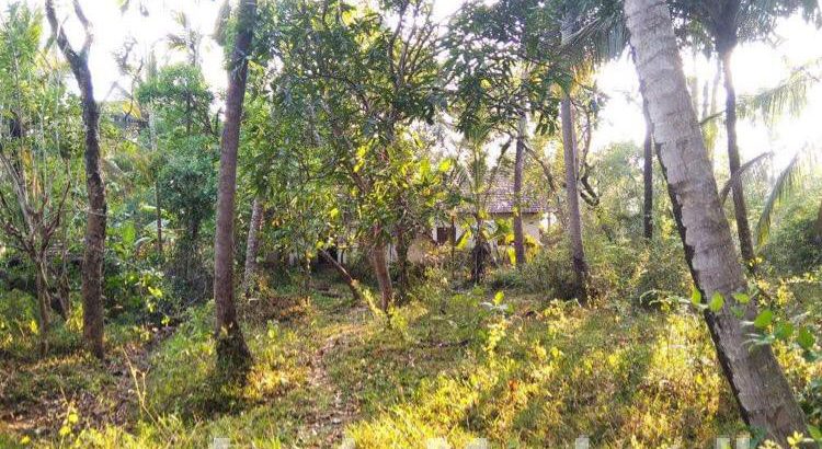 Land for Sale in Kurunagala