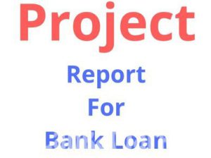 Project Report/Business plan writing Bingiriya