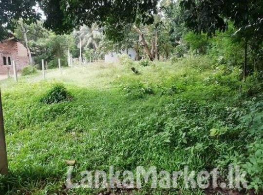 Land for sale – Uhumiya