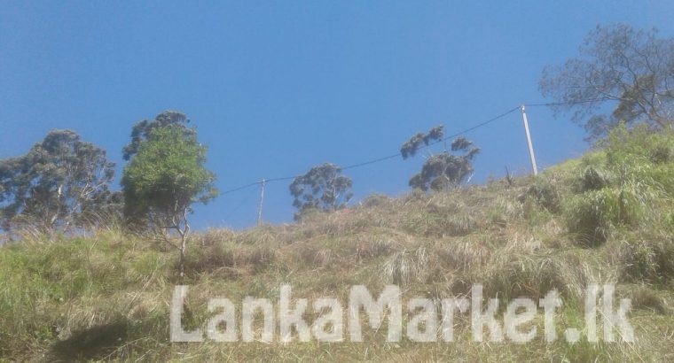 Land – FOR SALE IN NUWARA ELIYA