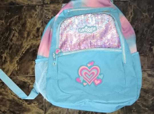 branded kid hand luggage/school bag