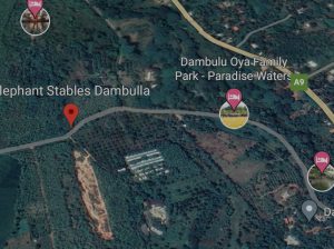 60 perches land near Dambulla town