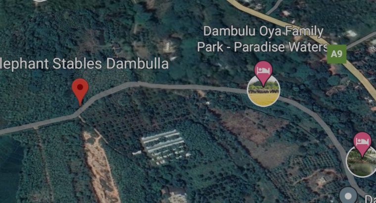 60 perches land near Dambulla town