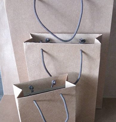 Craft Paper/ Board Bags