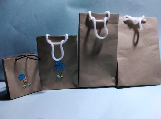 Craft Paper/ Board Bags