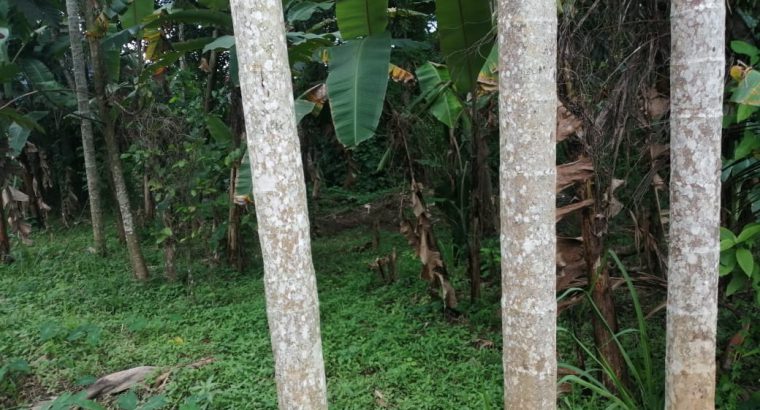 Land for Sell in Kiribathkubura