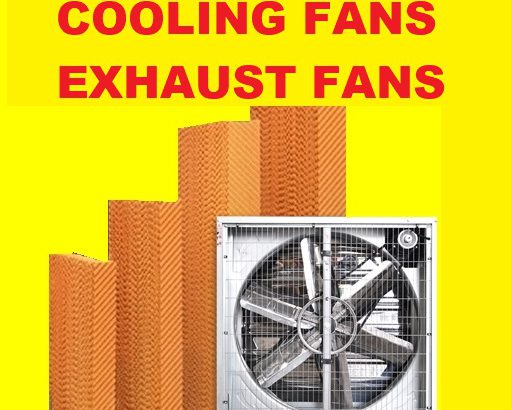 Box Exhaust fans for Green house Poultry farms cooling systems srilanka , VENTILATION SYSTEMS SUPPLIERS SRILANKA , green house cooling systems srilanka